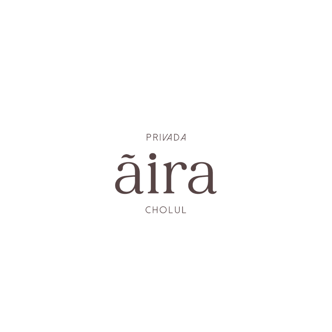 Logo aria